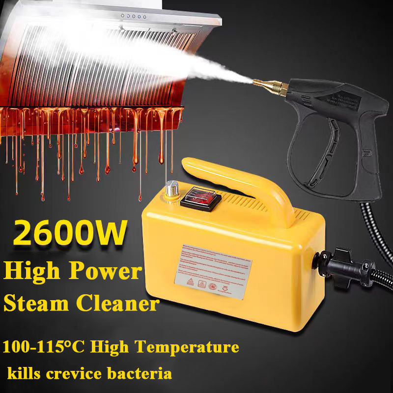 2600W Home Steam Cleaner High  - Commercial Kitchen Air Conditioner recensie en prijs